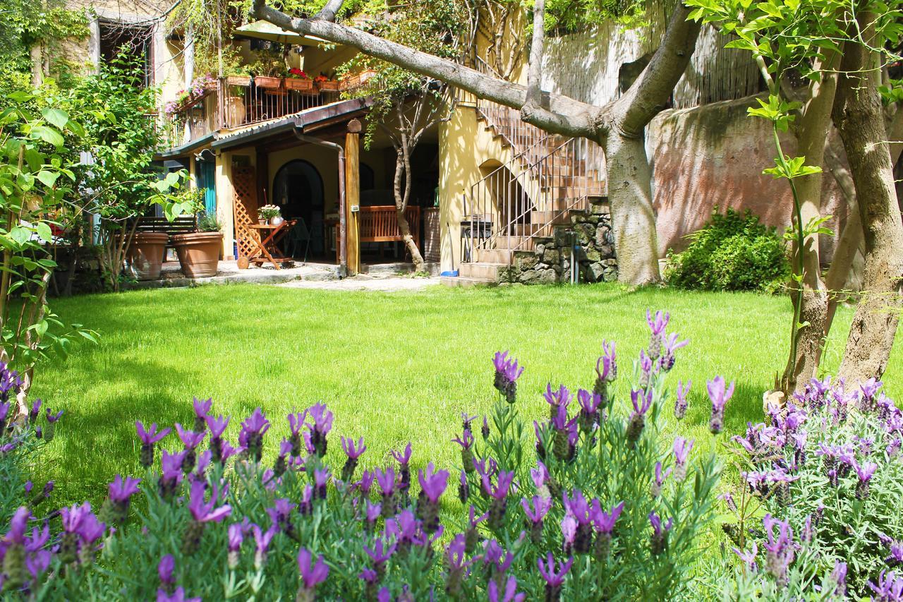 Inn The Garden CTA Exterior foto